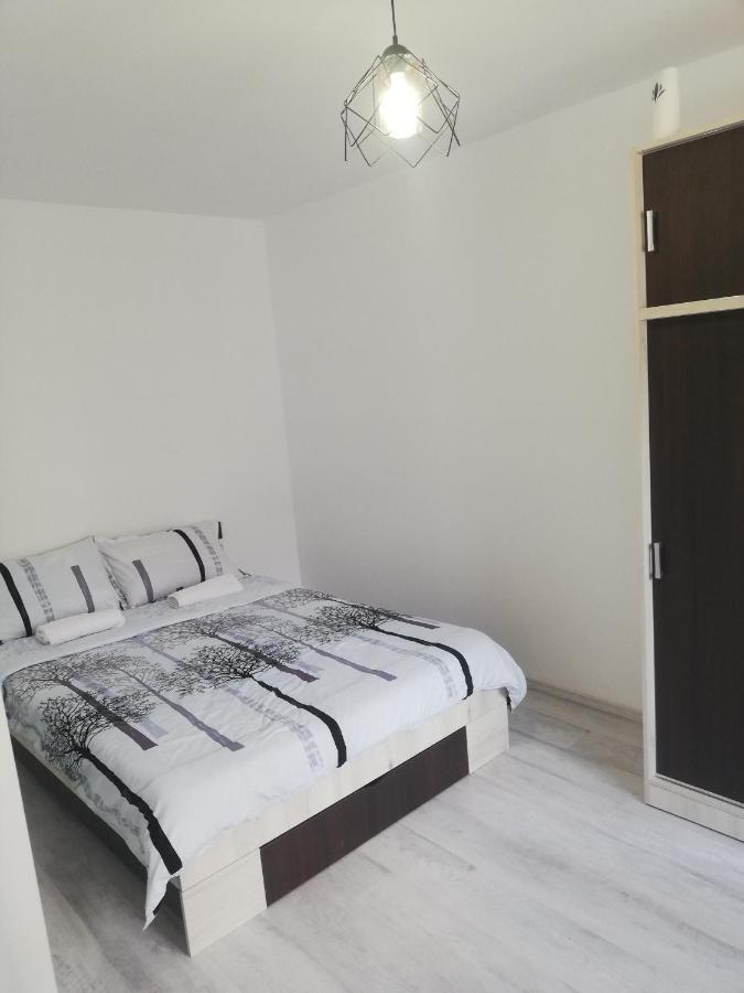 Apartament Brezoi公寓 外观 照片