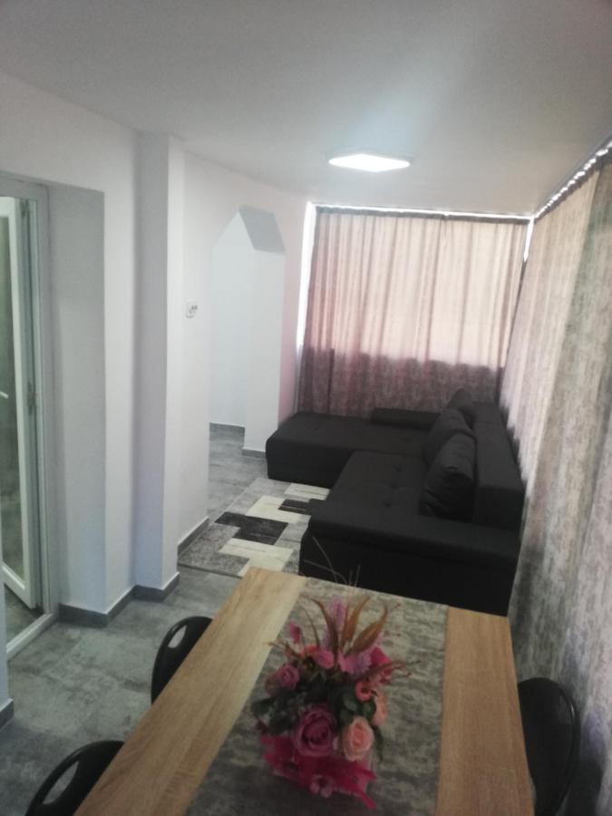 Apartament Brezoi公寓 外观 照片