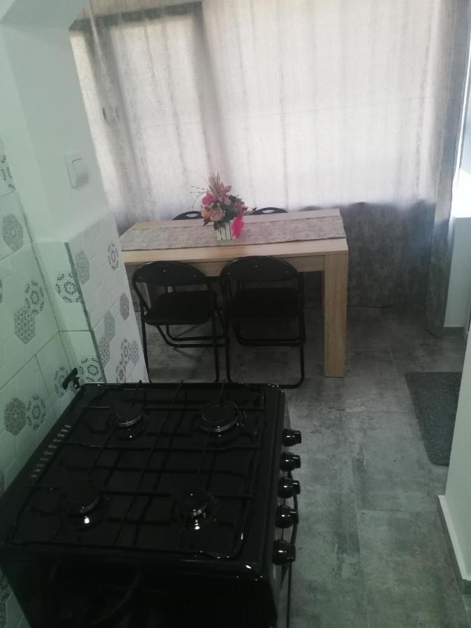Apartament Brezoi公寓 外观 照片