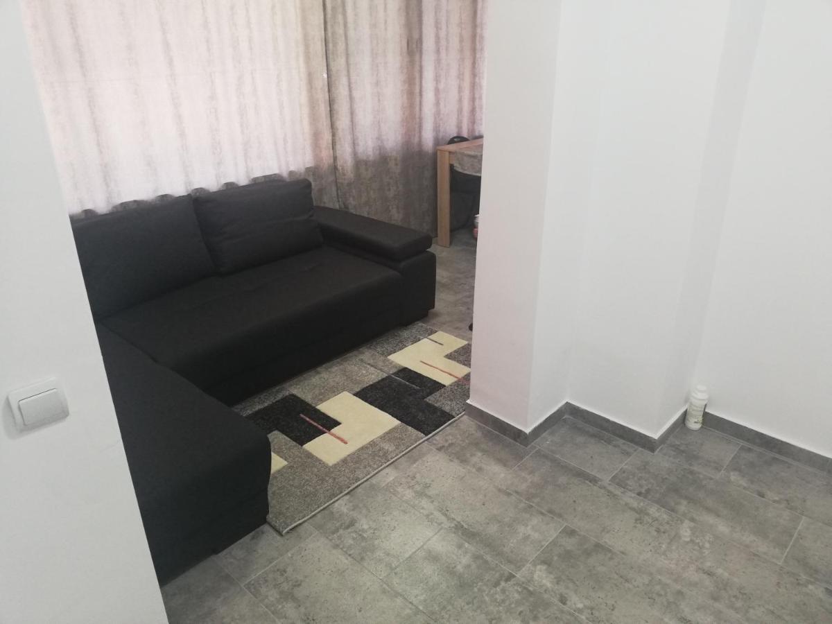 Apartament Brezoi公寓 外观 照片