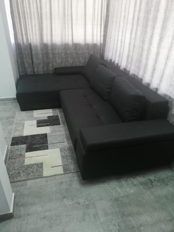 Apartament Brezoi公寓 外观 照片