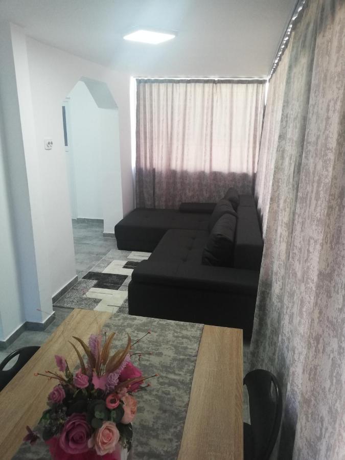 Apartament Brezoi公寓 外观 照片