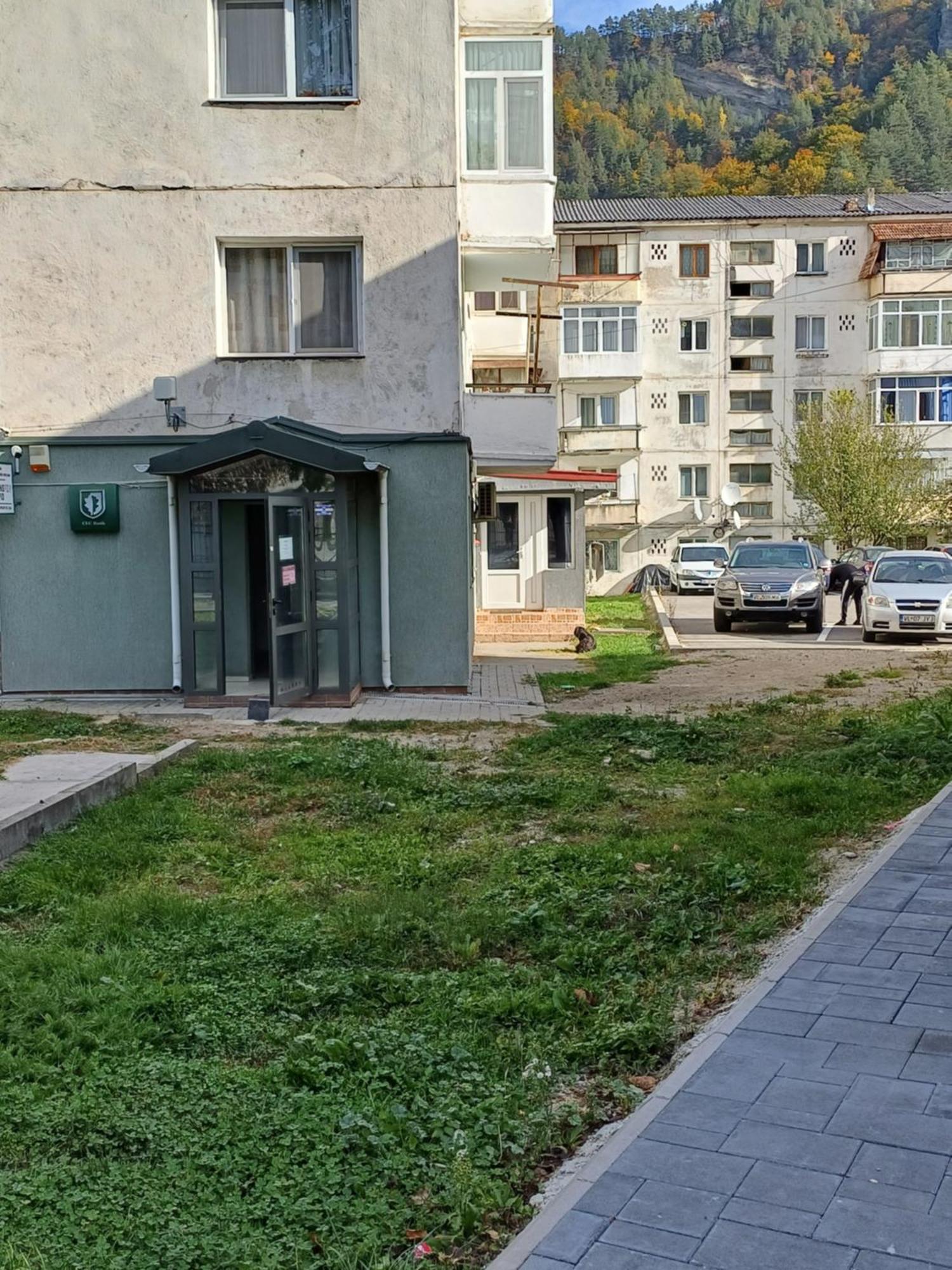 Apartament Brezoi公寓 外观 照片